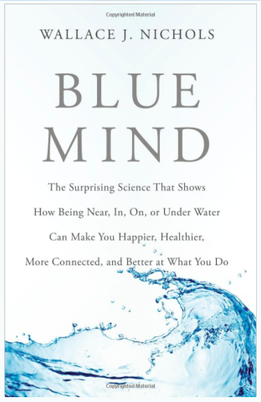 Blue Mind book cover