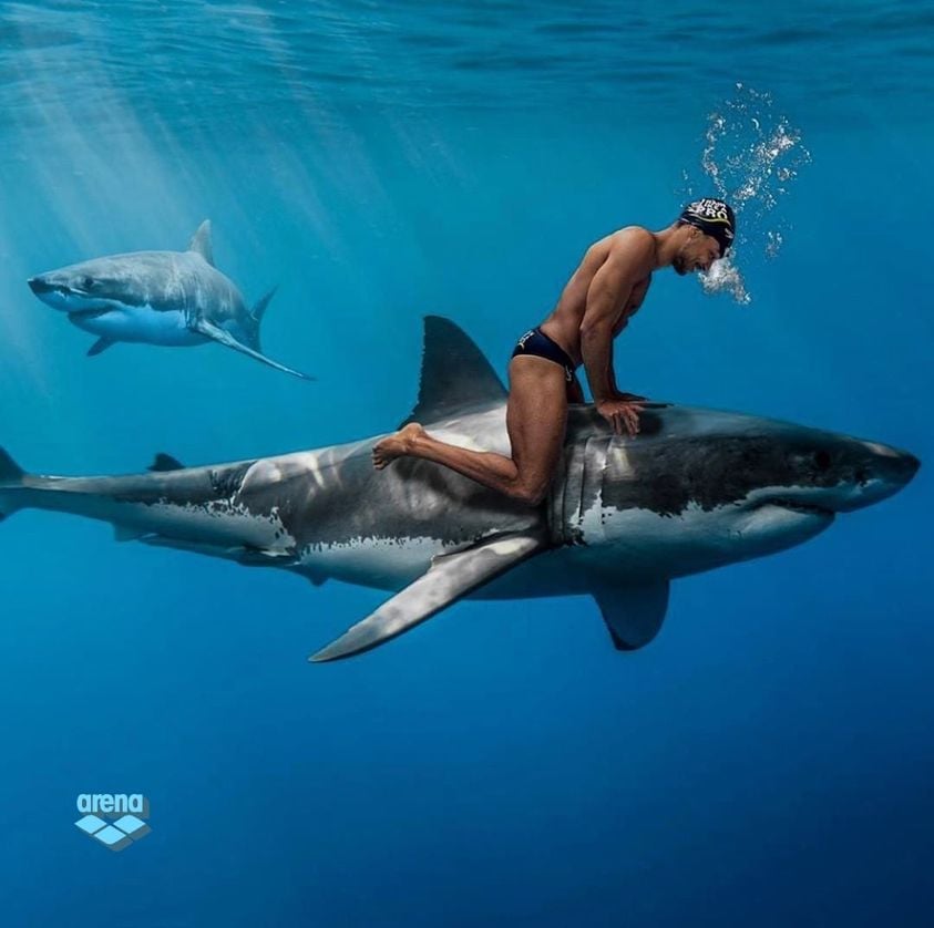 Swimmer sitting on shark.