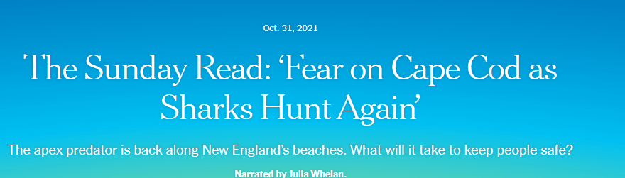 fear-on-cape-cod-as-sharks-hunt-again